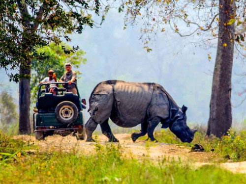 Kaziranga Jeep Safari