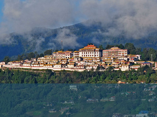 More Information AAM